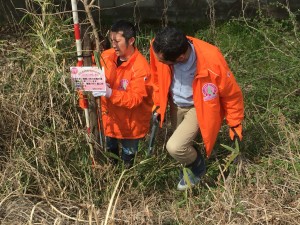 43警戒区域植樹_6728