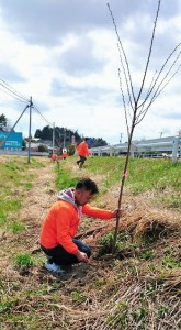 43警戒区域植樹_7231